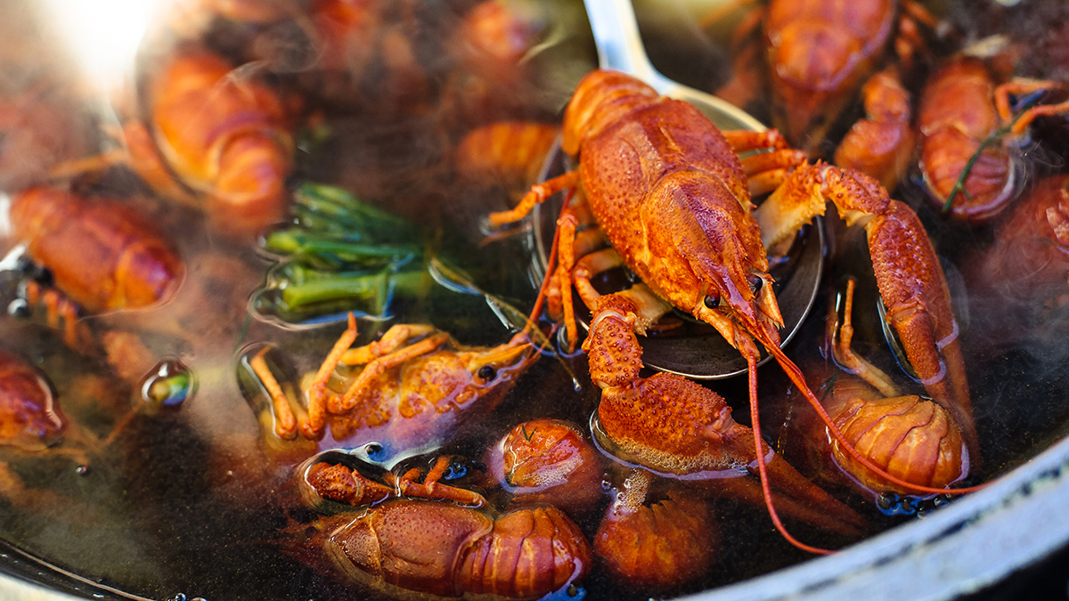 Курьер из Волгограда украл четыре килограмма раков из заказа, но они пропали