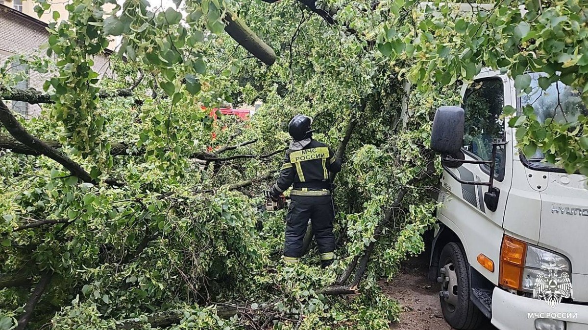 МЧС: Женщина погибла в Петербурге во время урагана