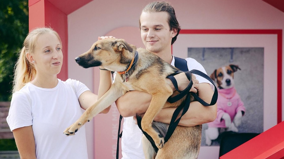 В саду имени Баумана пройдет благотворительный фестиваль «Город неравнодушных»