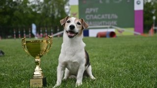 Сергунина подвела итоги столичной программы «Друг, спасатель, защитник»