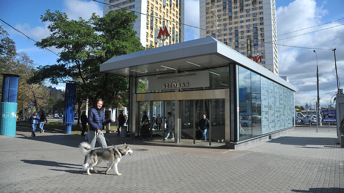 Упавший под поезд метро на станции «Беговая» мужчина погиб