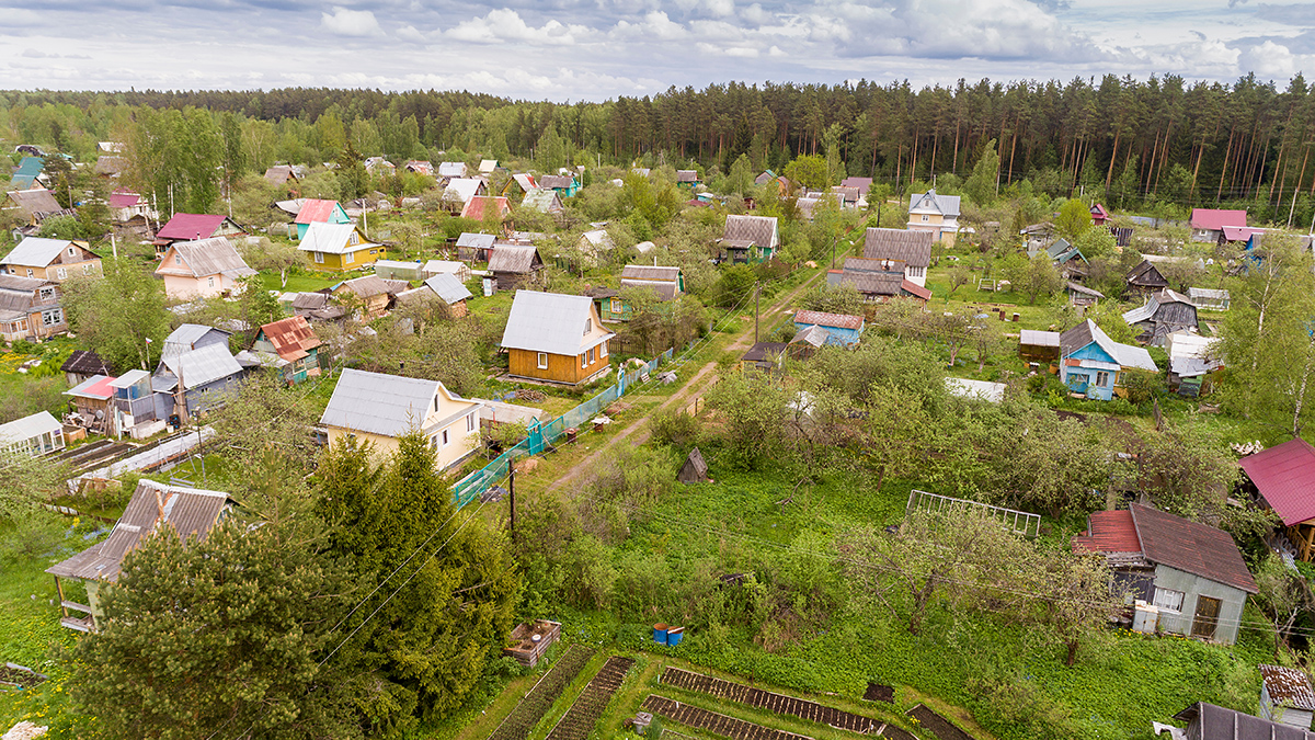 Какие участки могут признать брошенными