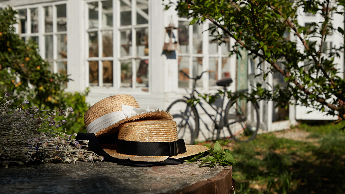 «Даже самые ядовитые вещества»: что важно сделать в огороде до осенних холодов