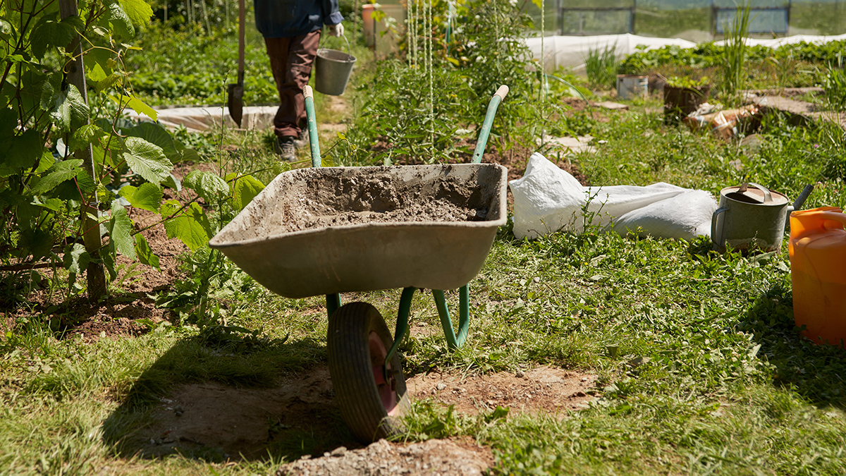 Народные приметы на 4 июня