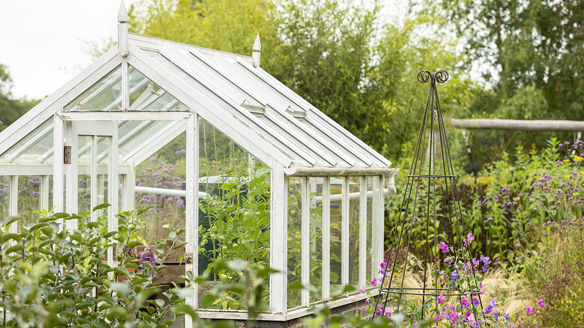 Что грозит за установку теплицы на даче