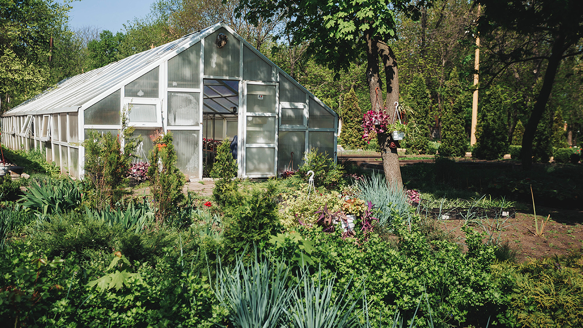За строительство каких теплиц можно получить штраф
