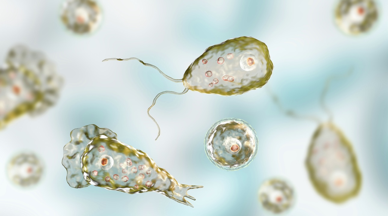 Мужчина заразился смертоносной амебой после купания в озере в Израиле