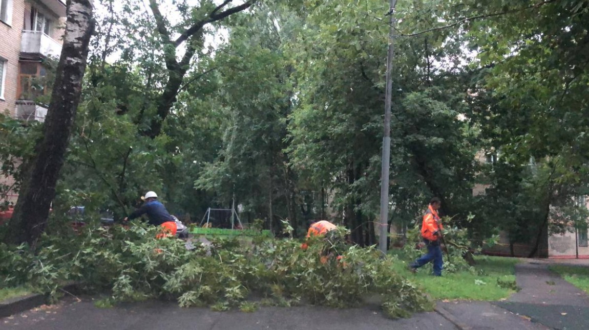 Городские службы ликвидируют последствия непогоды в Москве