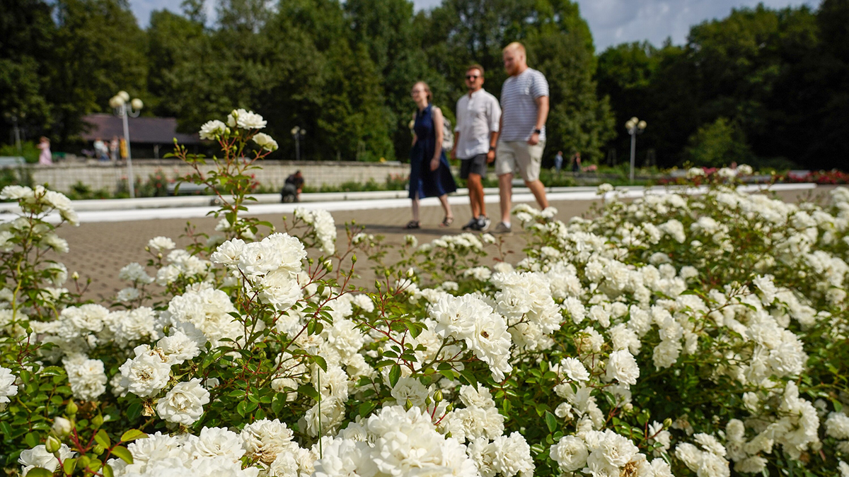 Мое любимое место в Москве. София Воронина