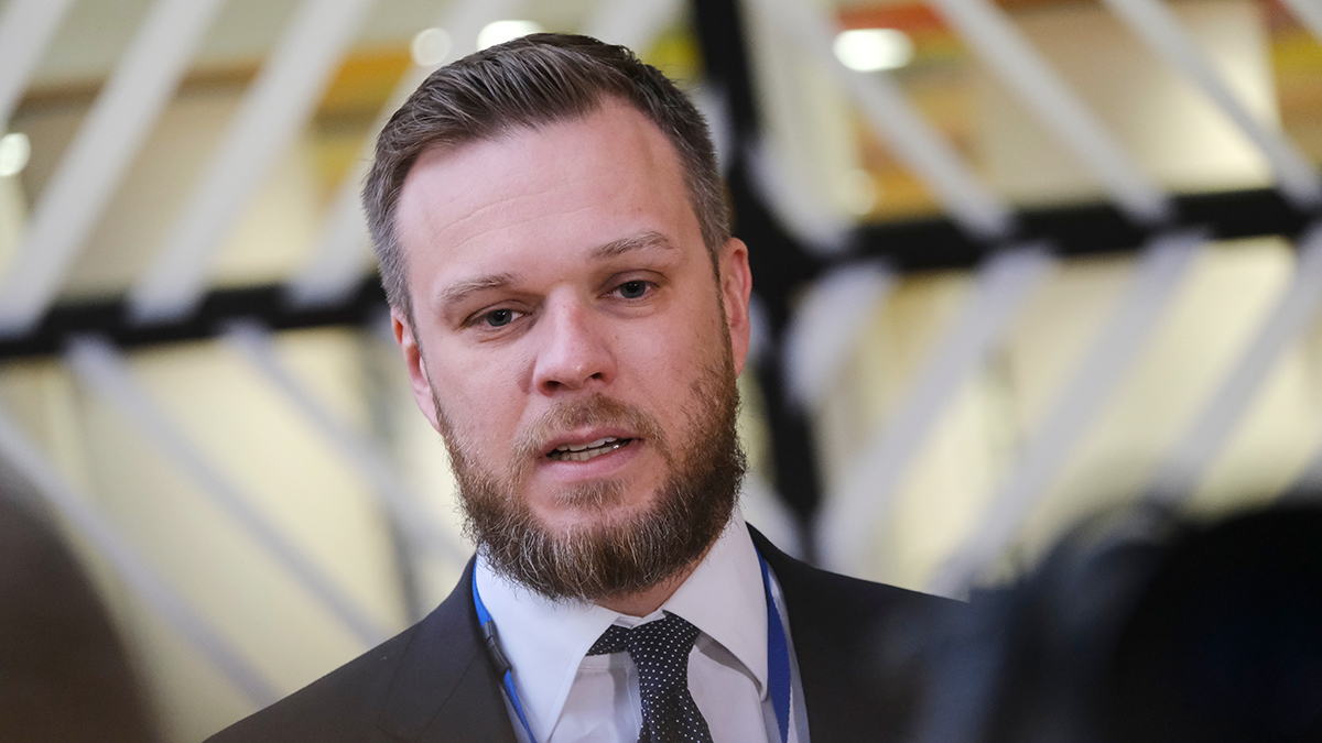 Глава МИД Литвы призвал «сказать спасибо» Украине за стремление бить по России