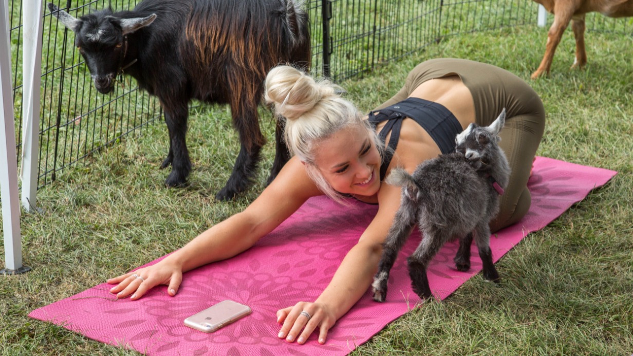 За козой повторяю, асаны выполняю: йога с питомцем и другие необычные тренировки