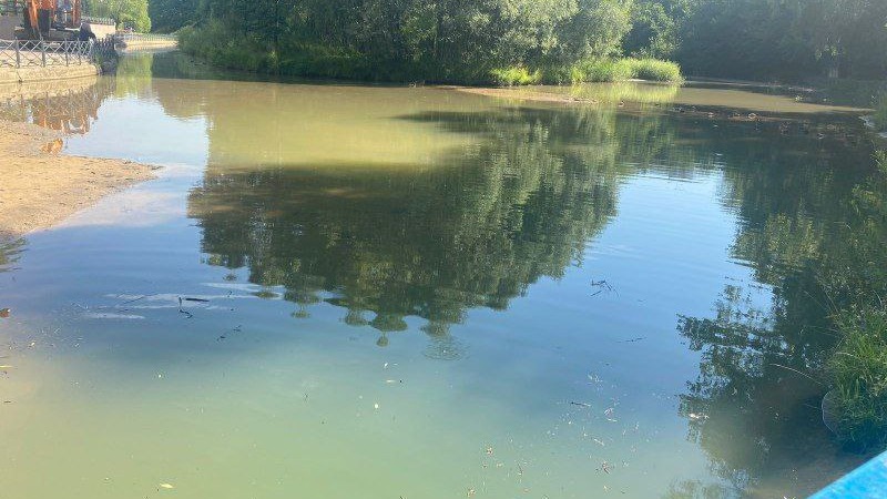 Прокуратура проводит проверку в связи с загрязнением реки Чертановки в ЮЗАО