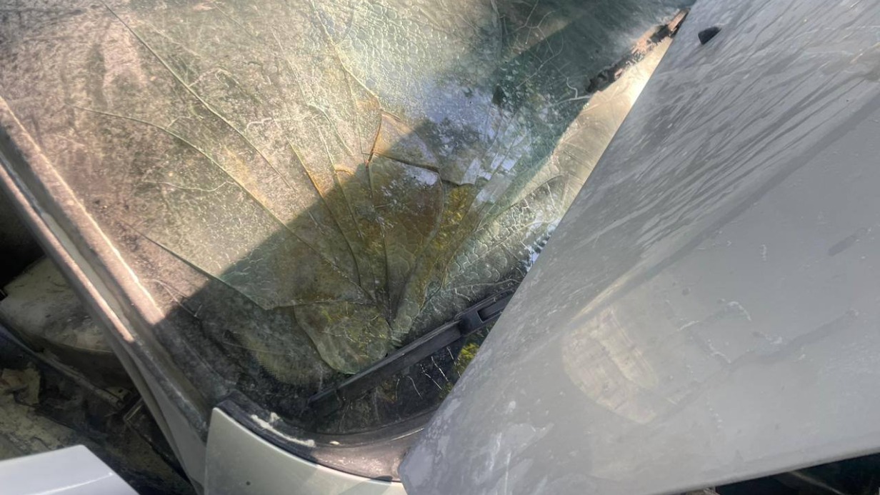 Девушка подожгла служебный автомобиль возле полицейского отдела в Подмосковье