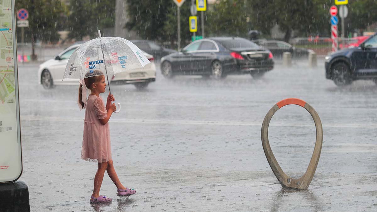 «Прогремят грозы»: синоптик Ильин рассказал о скверной погоде в Москве на выходных