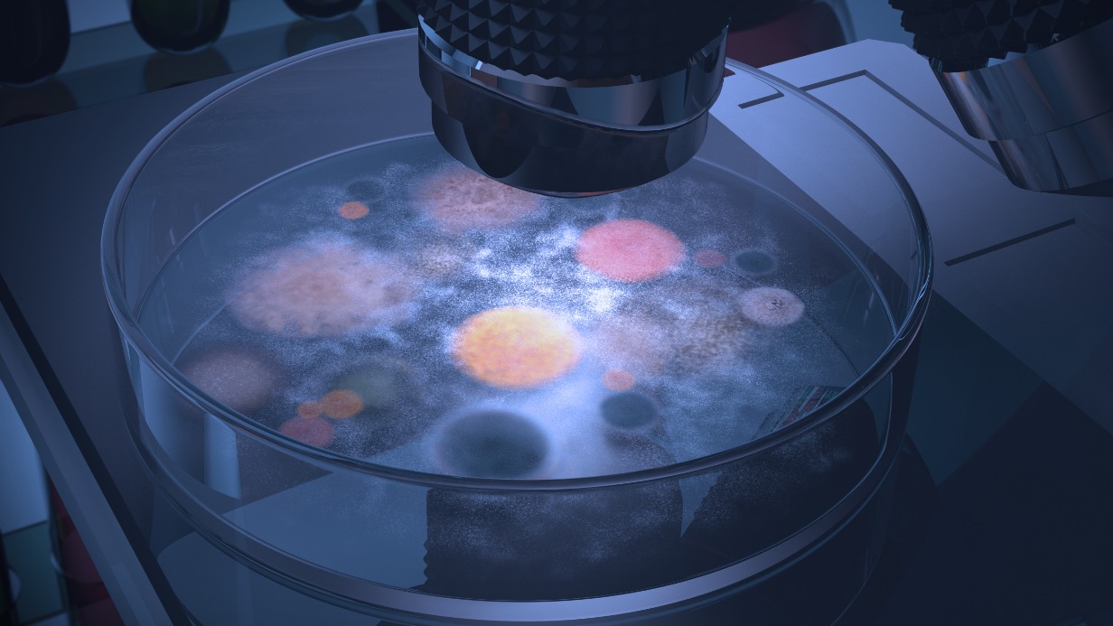 «Грибы среди нас»: иммунолог Болибок рассказал о новой смертоносной болезни из Китая