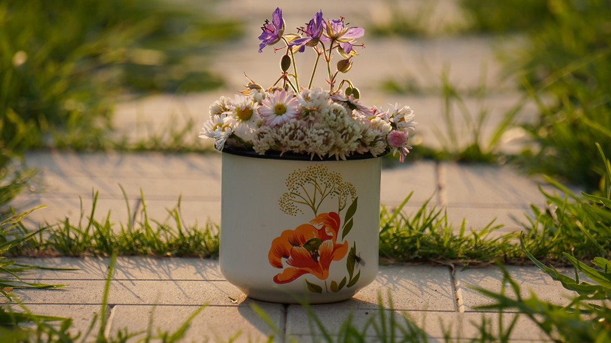 Что грозит за срыв краснокнижного растения