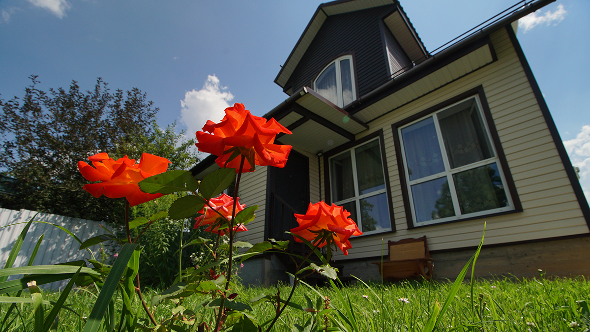 Агроном Ганичкина перечислила дачные дела, которые нужно успеть сделать в июне