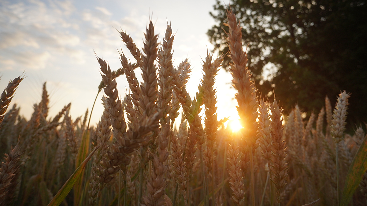 Политолог Журавлев предупредил Украину о риске повторения судьбы Российской империи