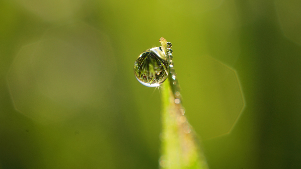 Народные приметы на 4 августа
