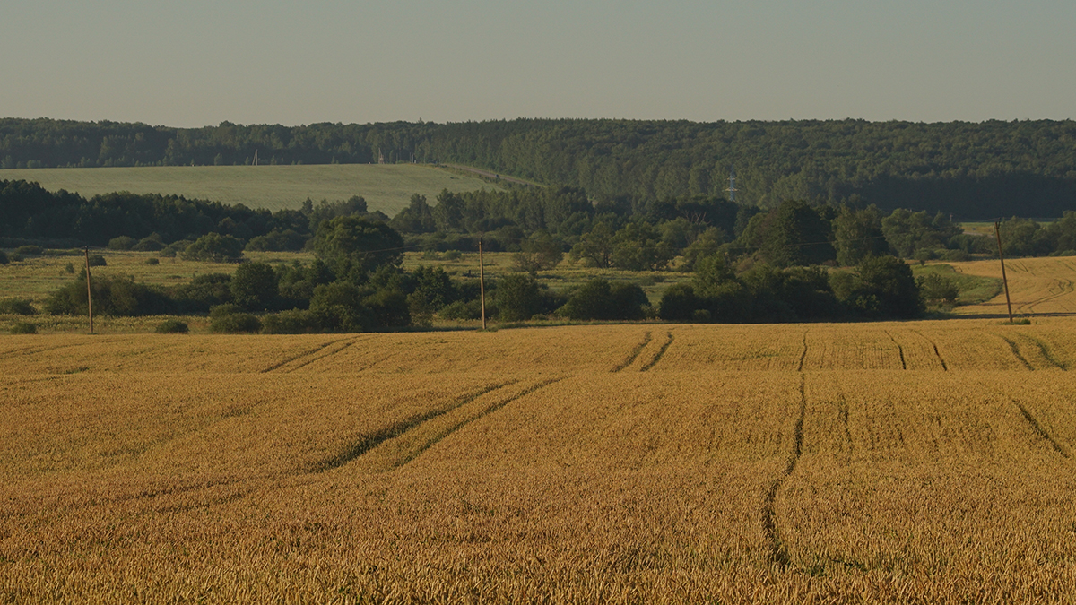 Mash: Черная коробка на парашюте приземлилась в поле в Башкирии