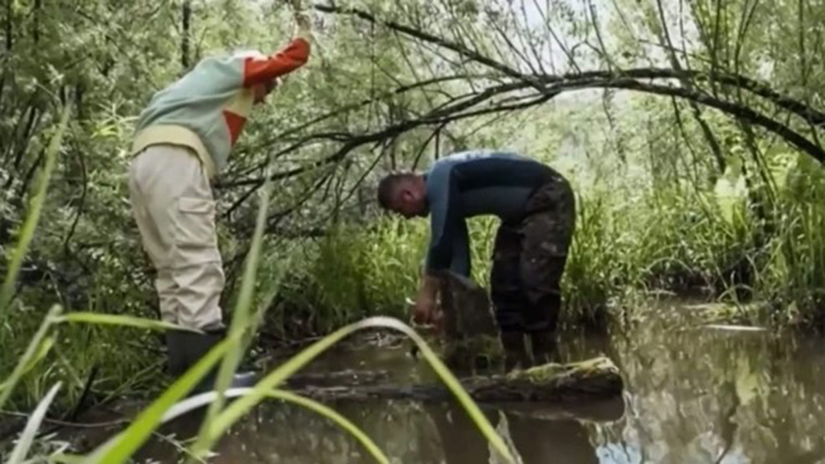 Убили и съели выдру: что грозит участникам «Последнего героя» за охоту в заповеднике