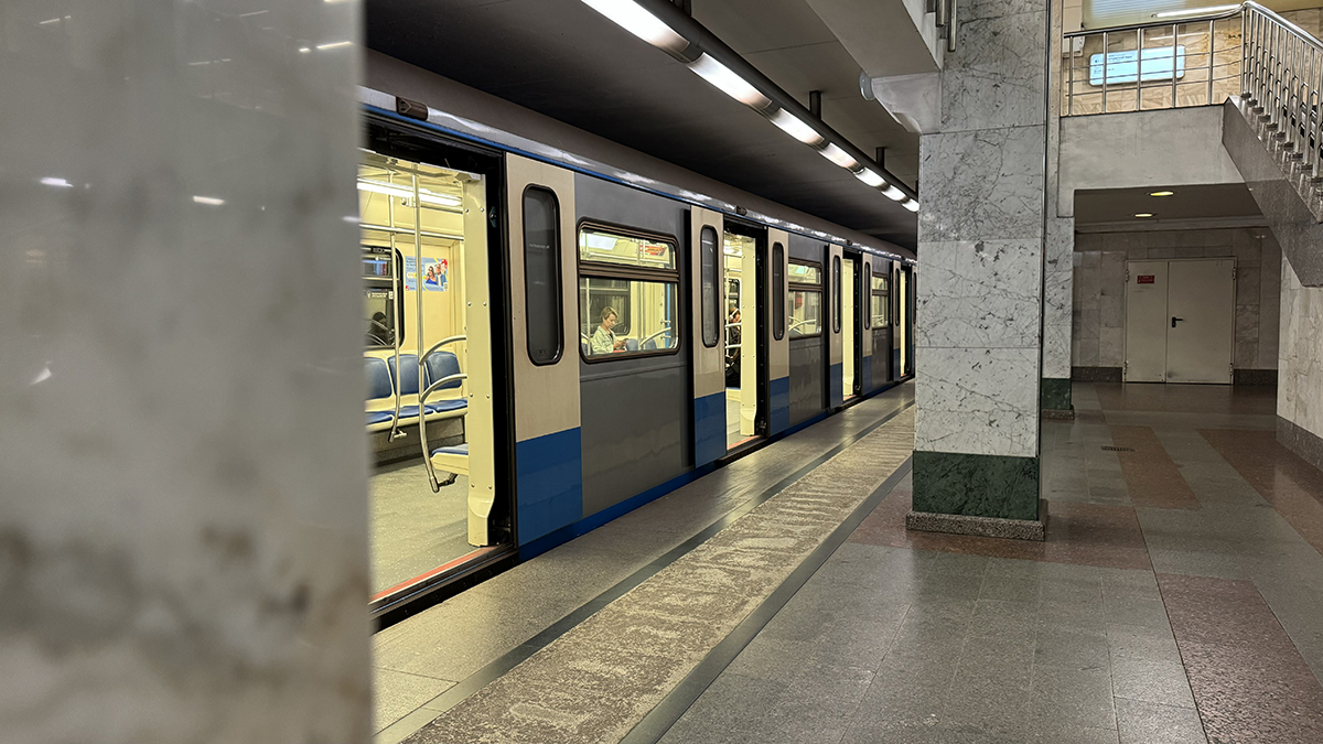 Движение поездов восстановили на Люблинско-Дмитровской линии московского метро 