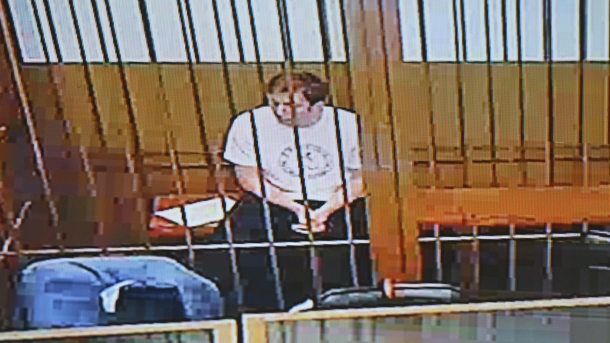 Сын миллиардера Бажаева не признал свою вину