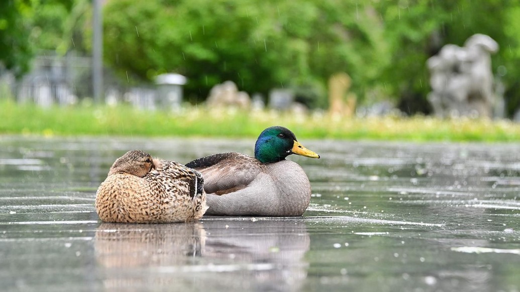 Синоптики назвали самый теплый день на этой неделе в Москве