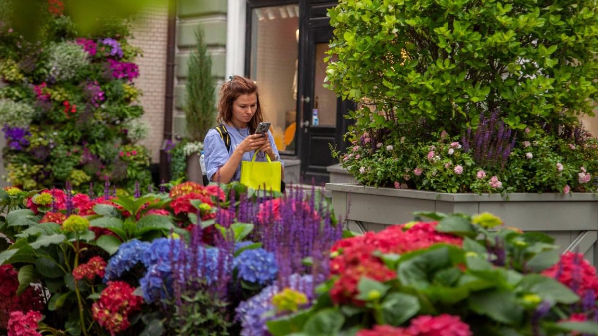Вертикальные сады украсили центральные улицы города