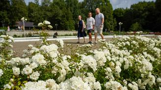 Мое любимое место в Москве. София Воронина