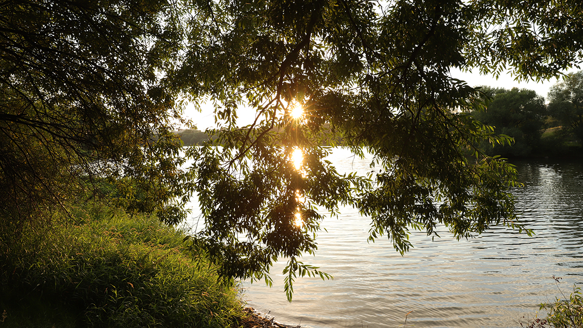 Эксперты рассказали, в каких водоемах опасно плавать