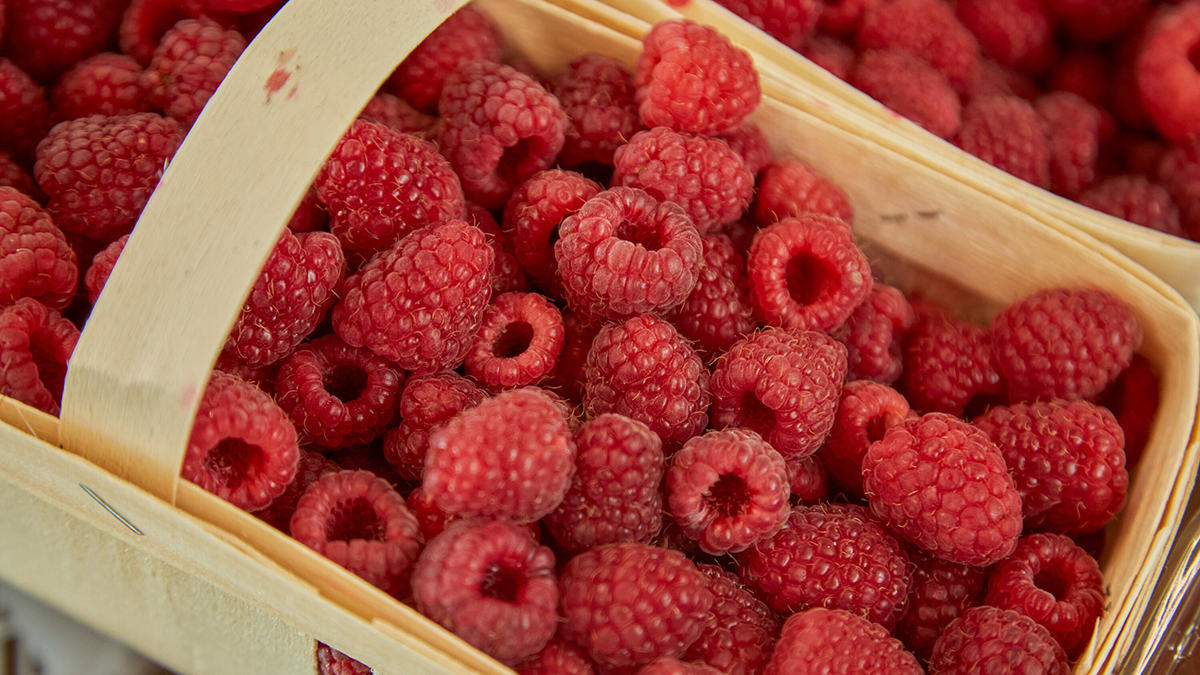 Россельхознадзор не пропустил в Подмосковье полтонны зараженной малины