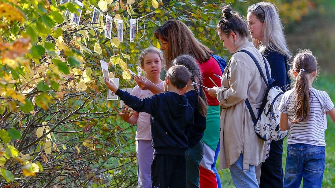 Викторины и экскурсии: что подготовили экоцентры Москвы для детей участников СВО