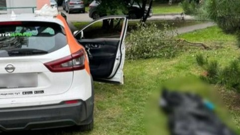 Смертельная авария с подростками на каршеринге в Москве: что известно и кто понесет наказание