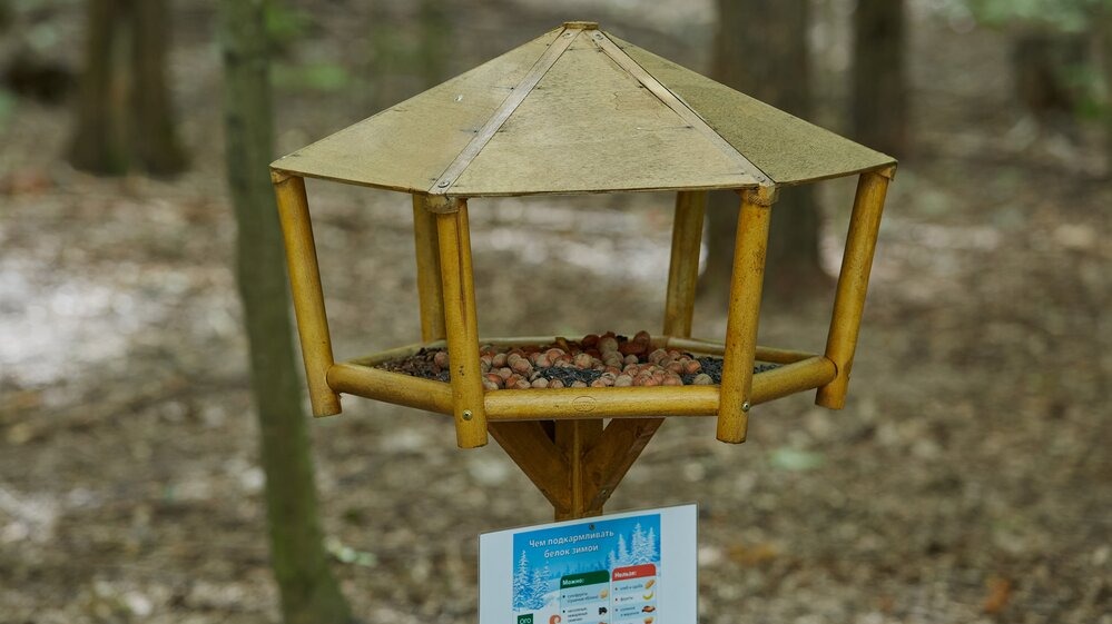 В парке «Долгие пруды» установили кормушки для птиц и животных
