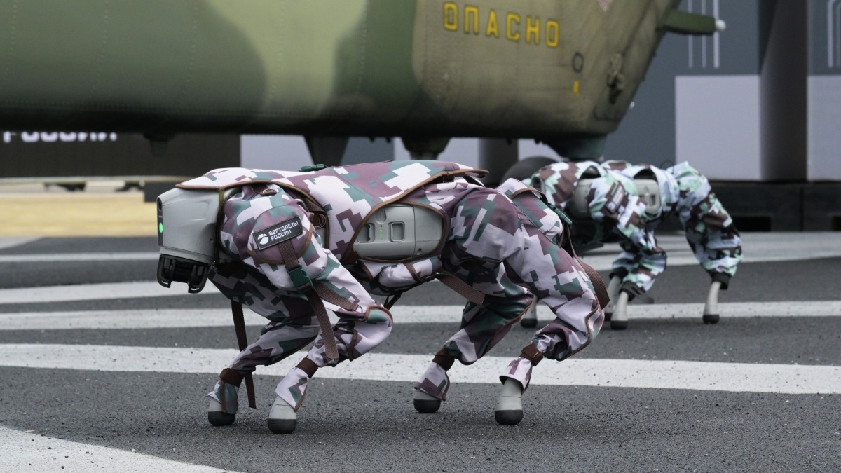 Танец собак-роботов на форуме «Армия-2024» попал на видео
