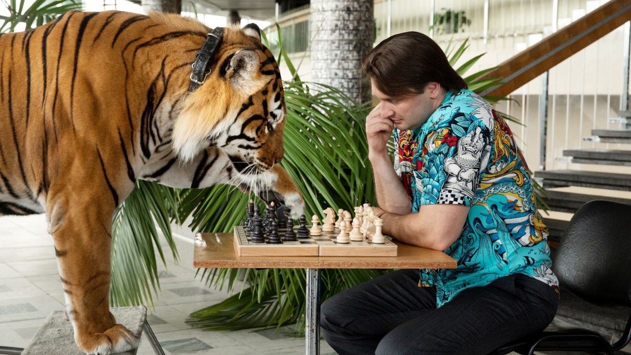 Генеральный директор Большого Московского цирка на проспекте Вернадского, дрессировщик Эдгард Запашный за игрой в шахматы со своим питомцем тигром Рикки