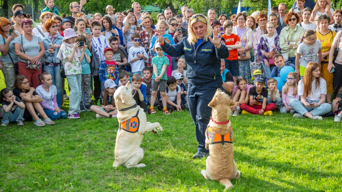 Цикл мероприятий «Друг, спасатель, защитник» пройдет с 17 августа по 15 сентября