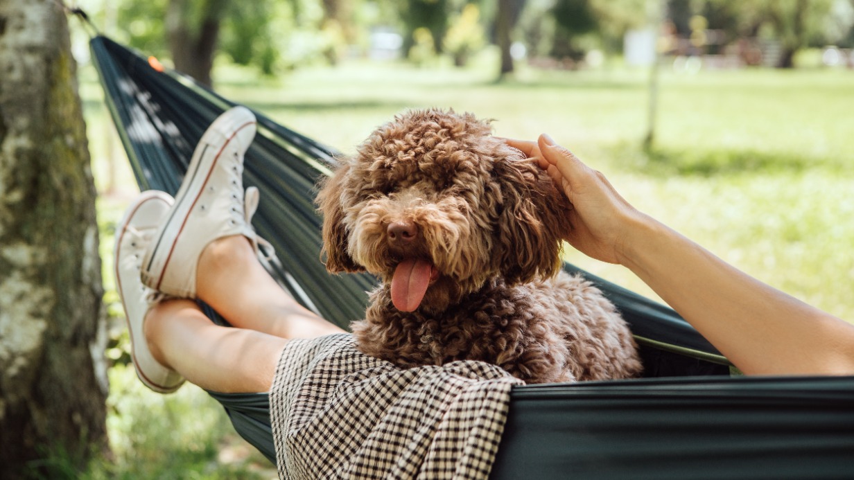 Психотерапевт Фомин объяснил, почему лентяи часто добиваются успеха