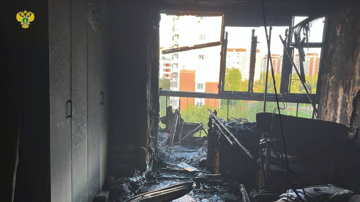 Пожар произошел в одном из жилых домов в Чертанове, пострадали мать и ребенок