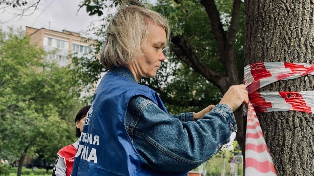 Активисты «Безопасной столицы» обнаружили на улицах Нагатинского Затона и Царицына 19 брошенных автомобилей