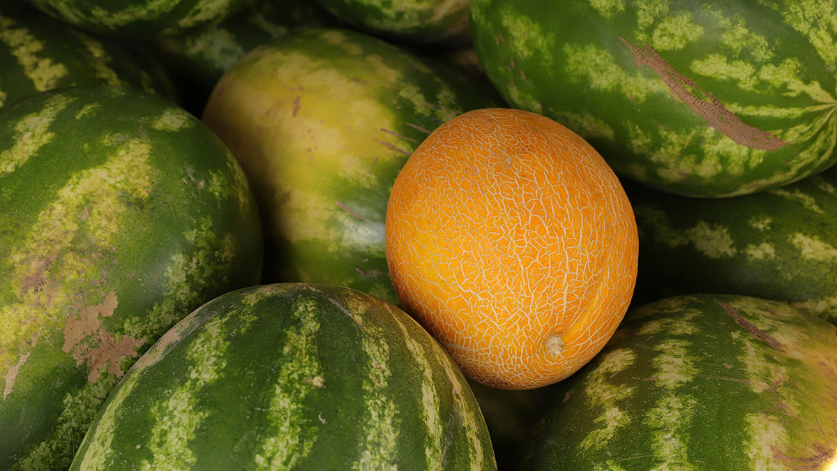 Почему опасно есть ранние арбузы и дыни