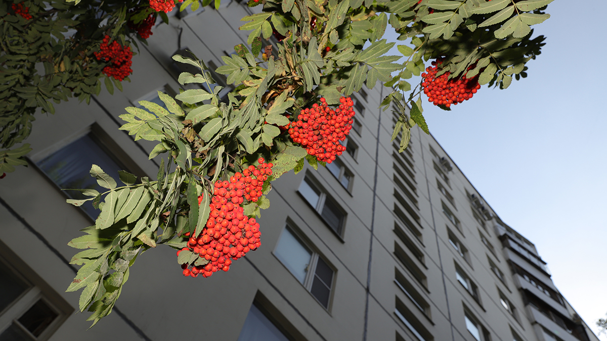 Пара миллиардов, и дворец ваш: чем примечательна самая большая квартира в Москве