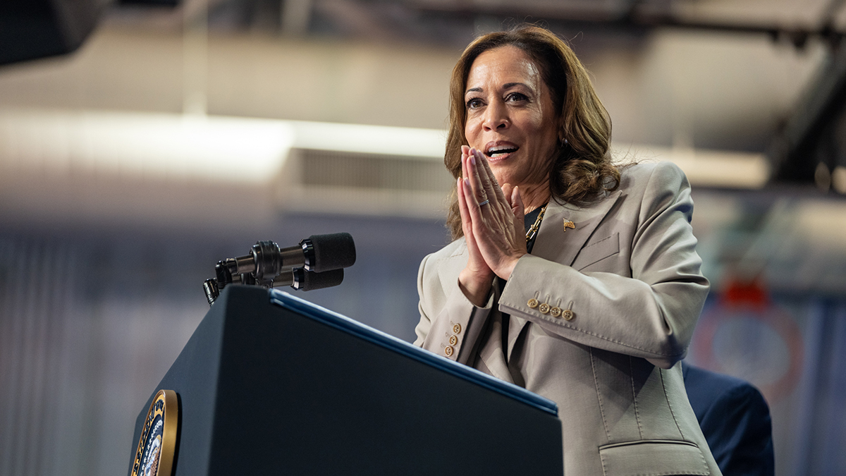 Стало известно, что пообещала Харрис в случае победы на выборах президента США