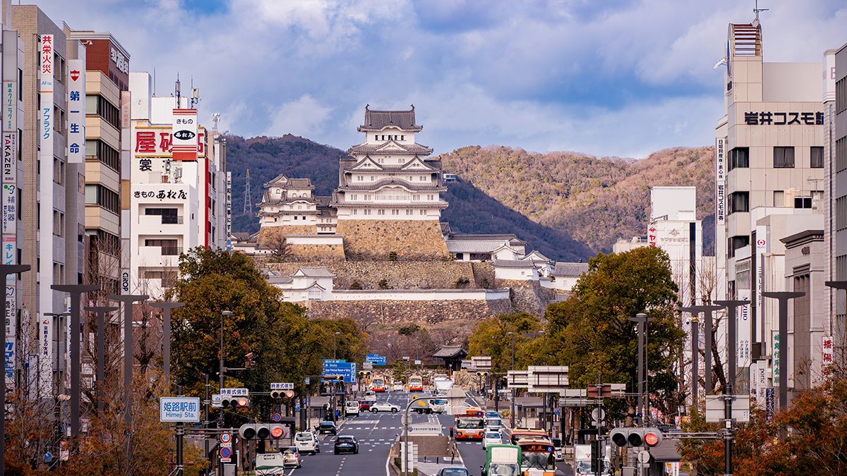 JT: Пожилой японец хранил дома скелет отца из-за бедности