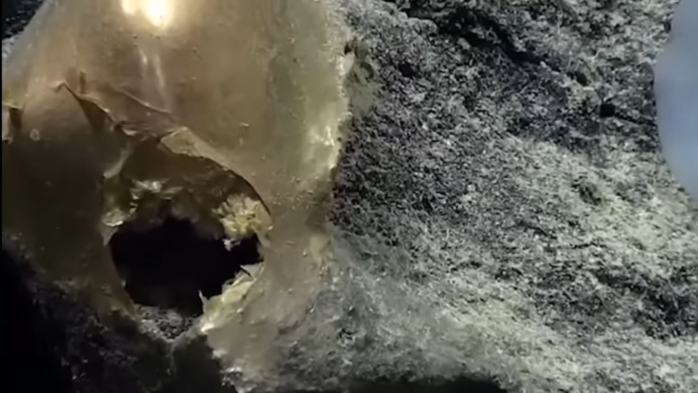 «Инопланетное происхождение»: что за золотой шар обнаружили на дне Тихого океана