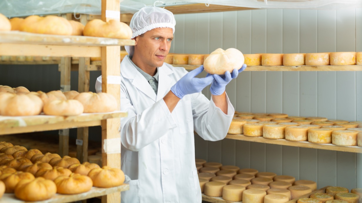 Наблюдатель за сыром и дегустатор тортов: самые необычные вакансии в России