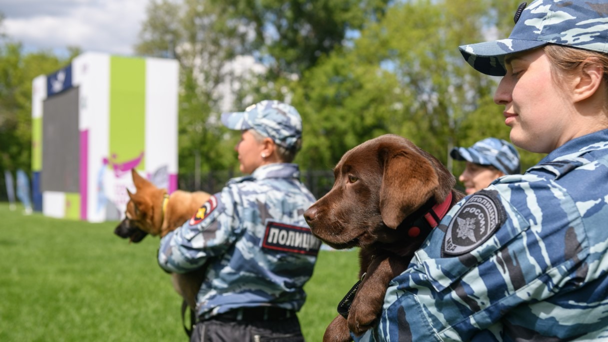 Показательные выступления собак МВД пройдут в Нагатинском затоне