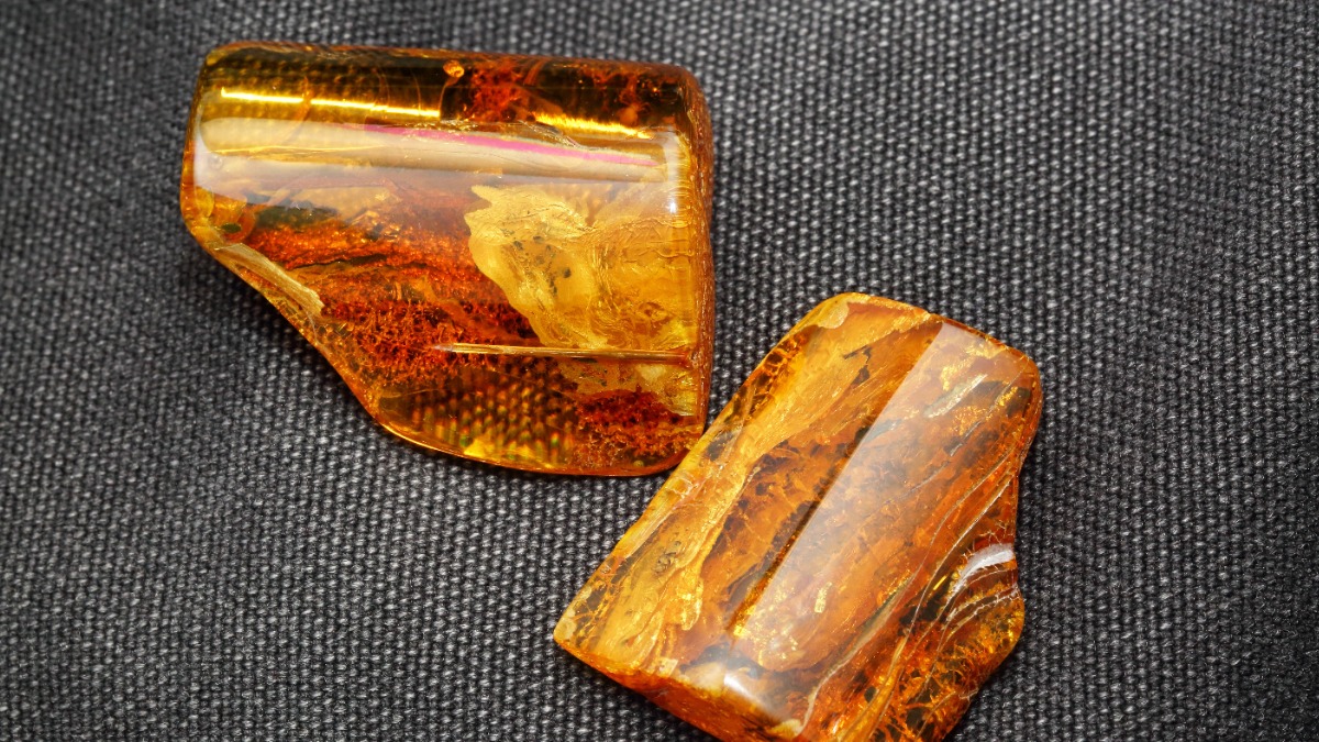 Пенсионерка десятилетиями подпирала дверь самородком за миллион евро 