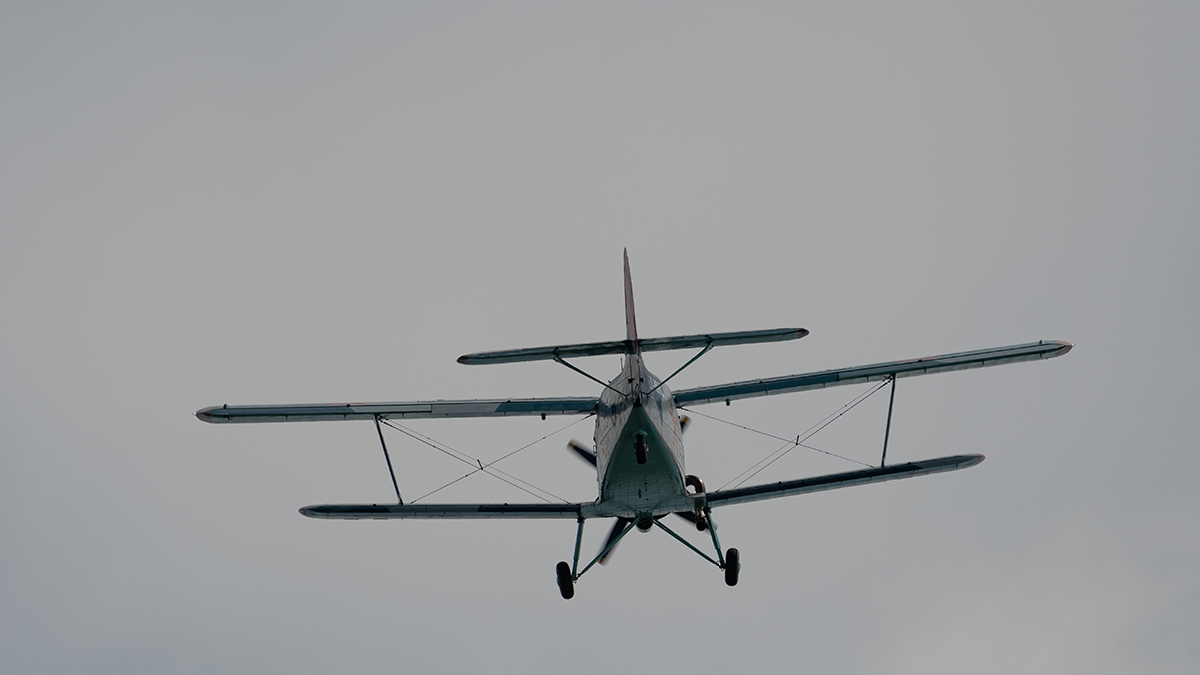 Самолет Ан-2 разбился в Подмосковье: главное о крушении к этому часу